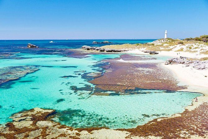 Fremantle to Rottnest Island Roundtrip Ferry Ticket - Itinerary Breakdown: What to Expect