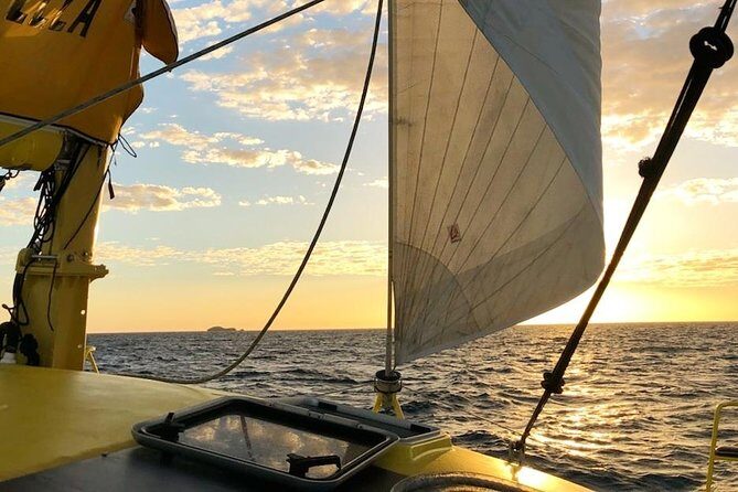 Fremantle Twilight Sail - Authentic Feedback from Past Guests