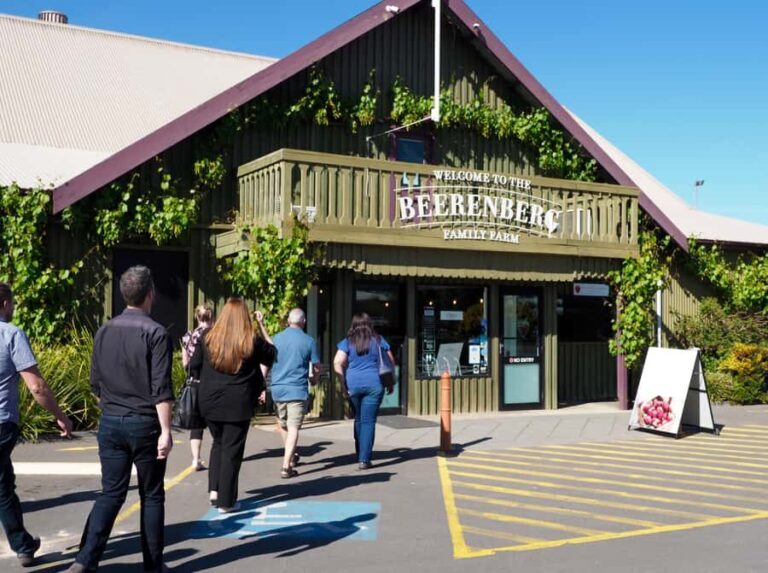 From Adelaide: Adelaide Hills, Hahndorf & Mount Lofty Tour - What Sets This Tour Apart