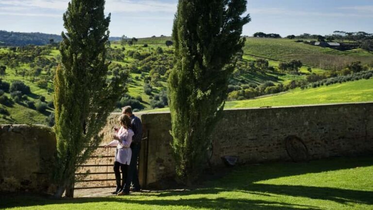 From Adelaide: Boutique McLaren Vale Wine Tour with Lunch - What Makes This Tour Stand Out?