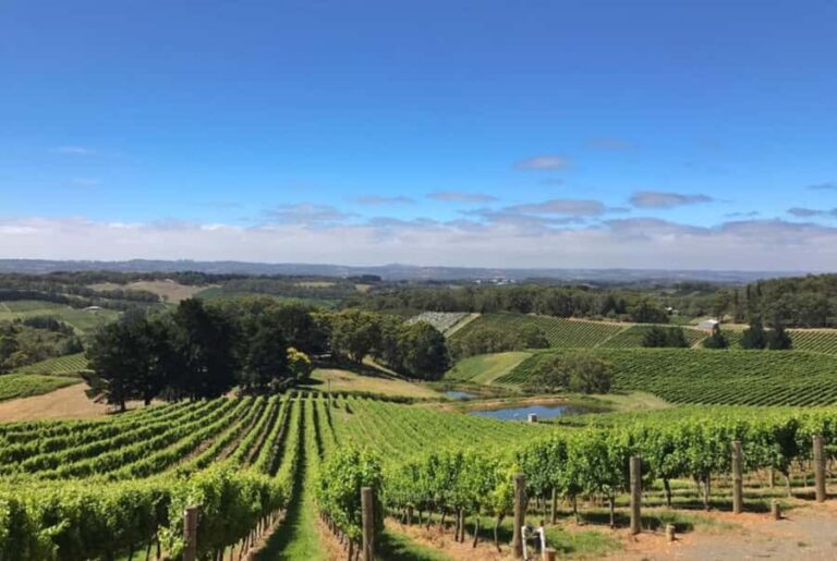 From Adelaide: Divine Wine Tour in the Adelaide Hills - The Value of the Tour
