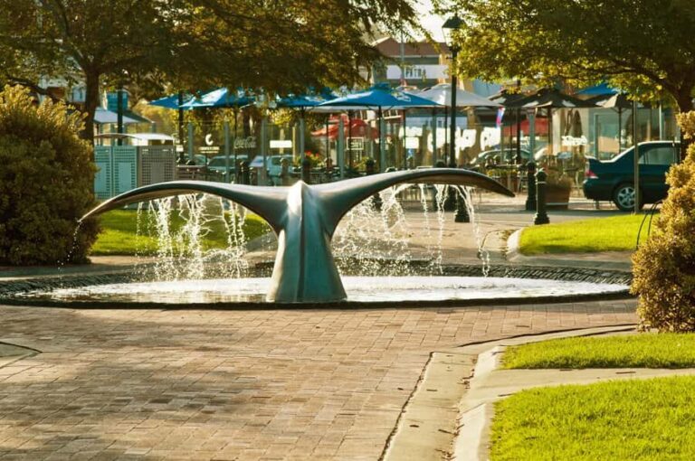 From Adelaide: Victor Harbor & Southern Highlights Day Tour - The Charm of Strathalbyn: Morning Tea and Local Charm
