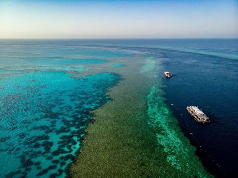 From Airlie Beach: Great Barrier Reef Adventure Cruise - Snorkeling and Marine Encounters