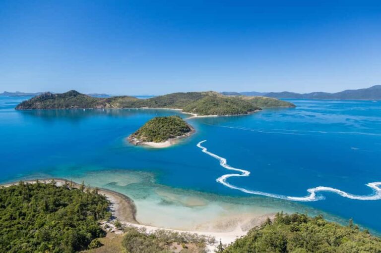 From Airlie Beach: Two-Island Safari - What You’ll Love About the Tour