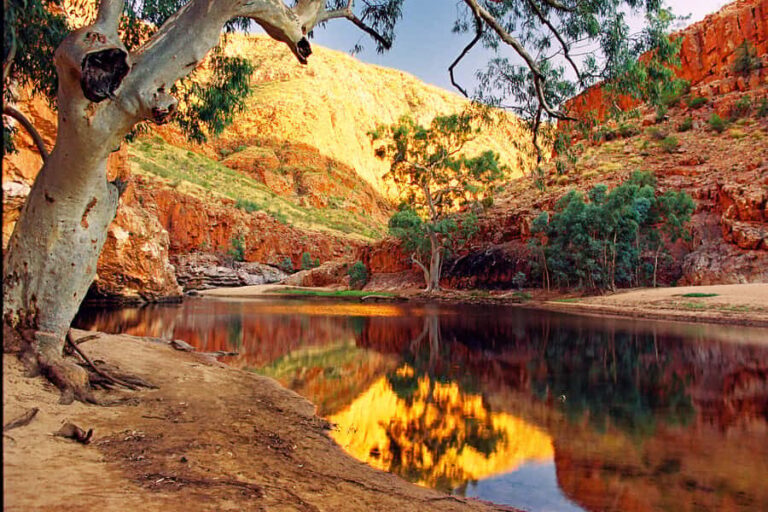 From Alice Springs: West MacDonnell Ranges Day Trip - Transportation, Group Size, and Price