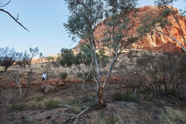 From Alice Springs: West MacDonnell Ranges Half Day Trip - The Guide and Group Experience