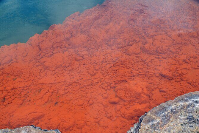 From Auckand: Waiotapu and Polynesian Spa Rotorua Day Tour - Why This Tour Offers Great Value