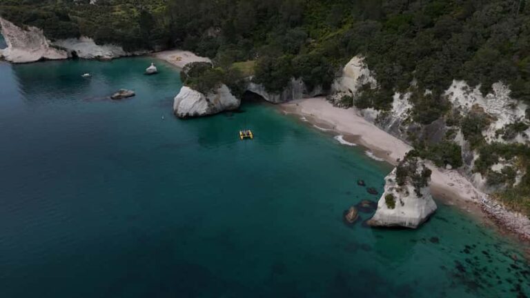 From Auckland: ALDERMAN ISLANDS (Ruamaahu) Day Trip - What’s Included & How it Adds Value