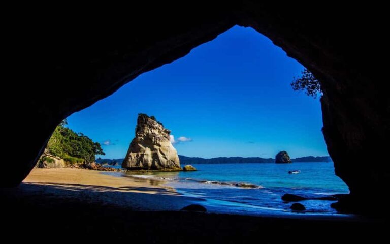 From Auckland: Cathedral Cove & Hot Water Beach Tour - Discovering the Coromandel Peninsula