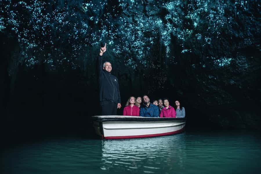 From Auckland: Day Trip to Waitomo Glow Worm Caves - What Makes This Tour Valuable?