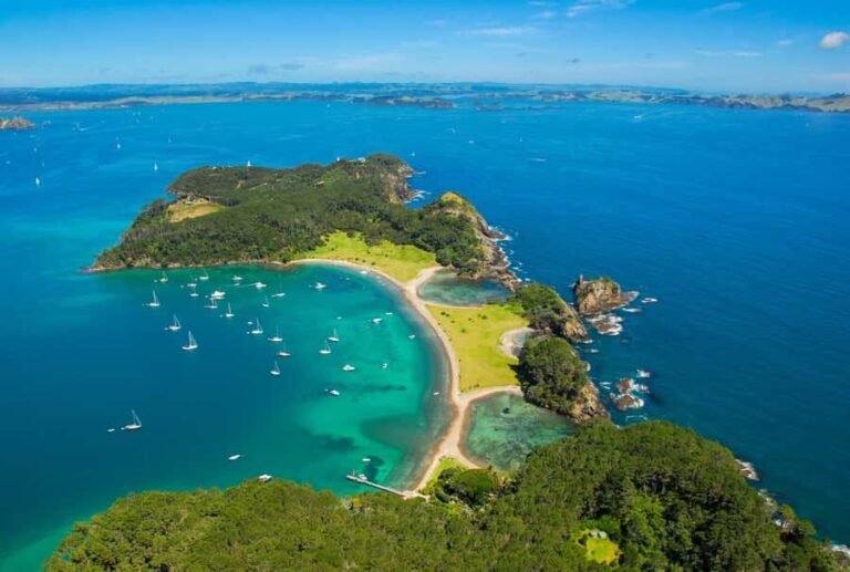 From Auckland: Full Day Private Tour to the Bay of Islands - The Catamaran Cruise: A Highlight