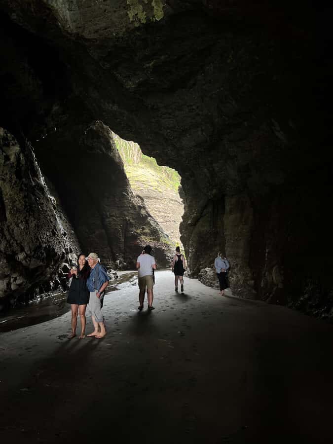 From Auckland: Guided Tour of Piha with Scenic Beach Walks - Scenery from Above: High Lookouts