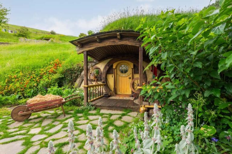From Auckland: Hobbiton Movie Set Small Group Tour - What You Can Expect from This Hobbiton Tour