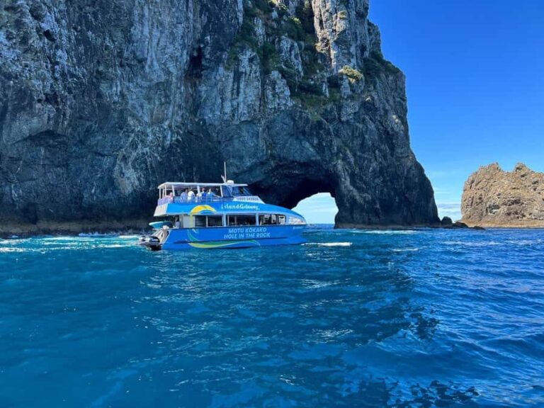 From Auckland: Hole in the rock cruise tour - Setting the Scene: What to Expect From the Tour