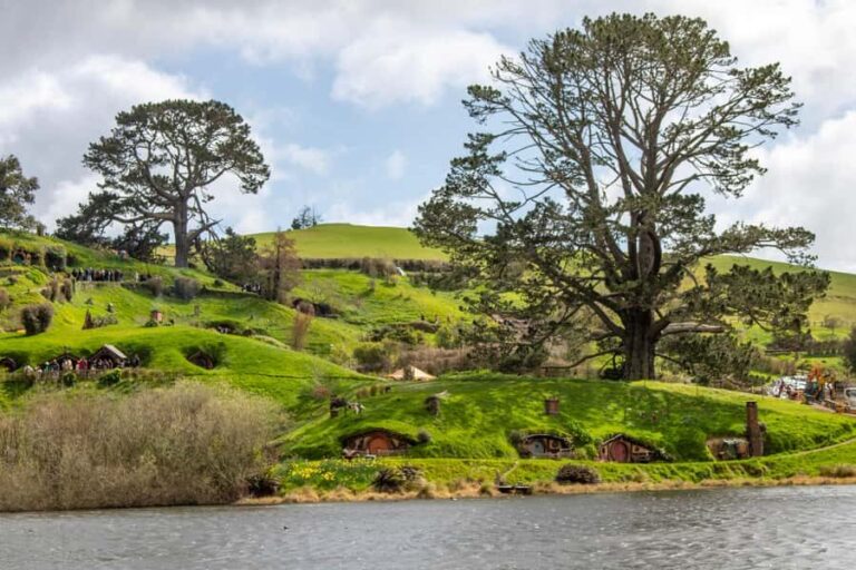 From: Auckland: Rotorua via Hobbiton Tour One Way Tour - What Real Travelers Say