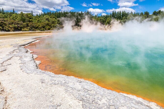 From Auckland: Rotorua & Waitomo Wonders Tour - Key Points