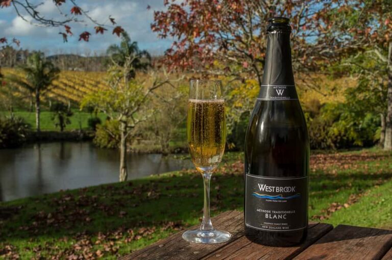 From Auckland: Small Group Kumeu Wine Tour with Lunch - What Travelers Say: Authentic Feedback