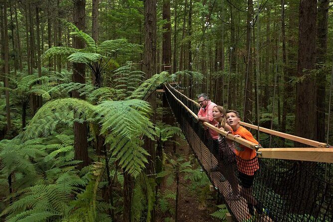 From Auckland to Rotorua Waiotapu and Activity Combinations - What Sets This Tour Apart