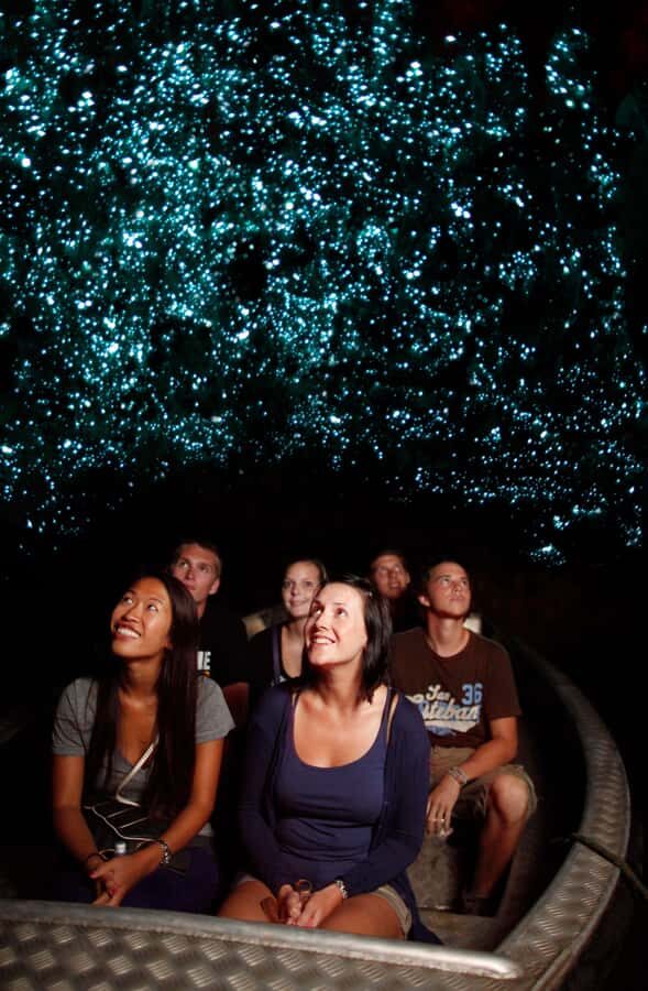 From Auckland: Waitomo Caves and Kiwi House Group Tour - What You Can Expect from This Tour