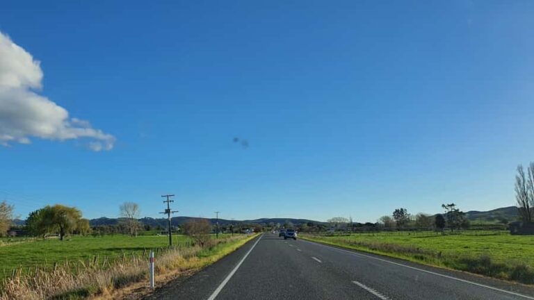 From Auckland: Waitomo Glowworm Cave Tour - The Journey Into the Caves