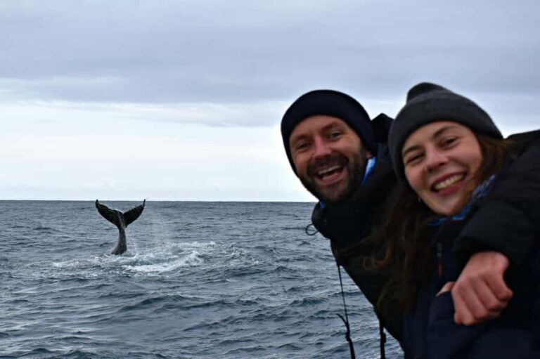 From Augusta: Whale Watching Award Winning Tour - What Makes This Tour Stand Out?
