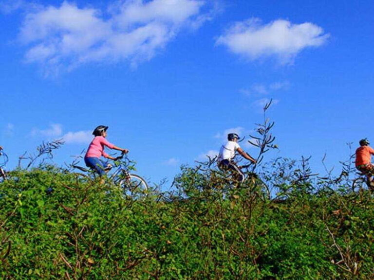 From Bentota/ Beruwala: Scenic Countryside Cycling Adventure - Practical Tips for Making the Most of Your Cycling Adventure