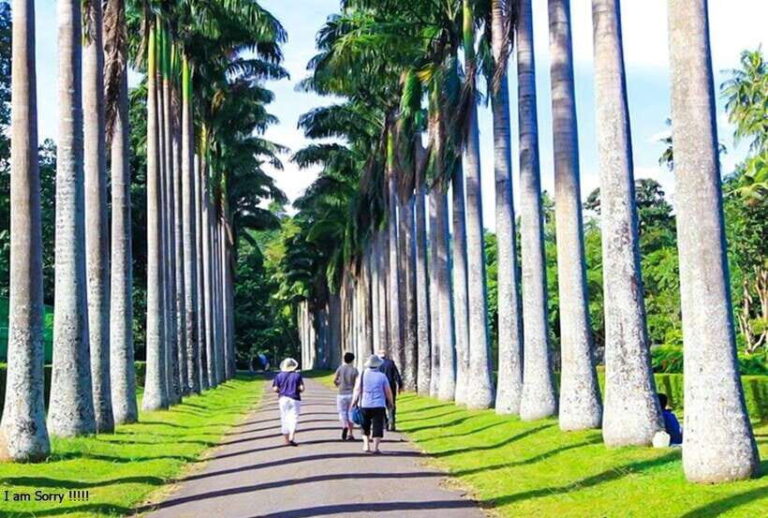 From Bentota/Kalutara: Magical Journey to Kandy & Pinnawala - Introduction and Overall Impression