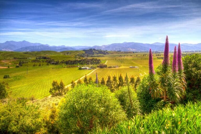 From Blenheim/Picton: Marlborough Gourmet Wine Tasting Tour - Frequently Asked Questions