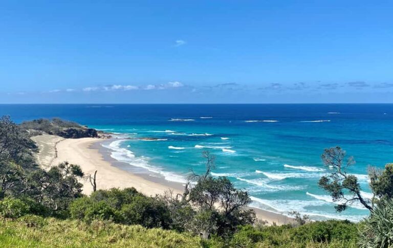 From Brisbane: North Stradbroke Island Wildlife Adventure - The Experience Through the Eyes of Travelers