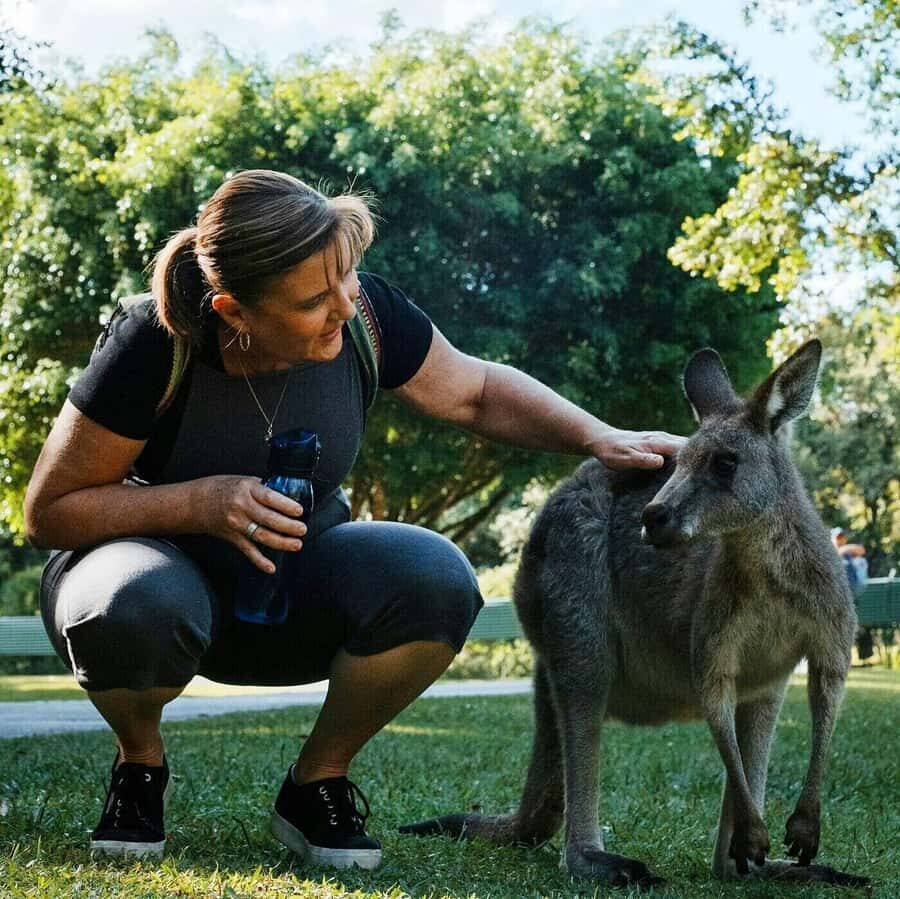 From Brisbane: Queensland Zoo and Sunshine Coast Day Trip - The Experience in Detail