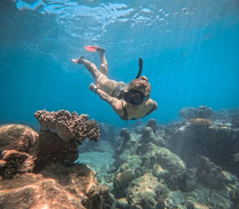 From Cairns: 2 Islands 1 day - Fitzroy & Green Islands - What to Expect: Details and Practical Tips
