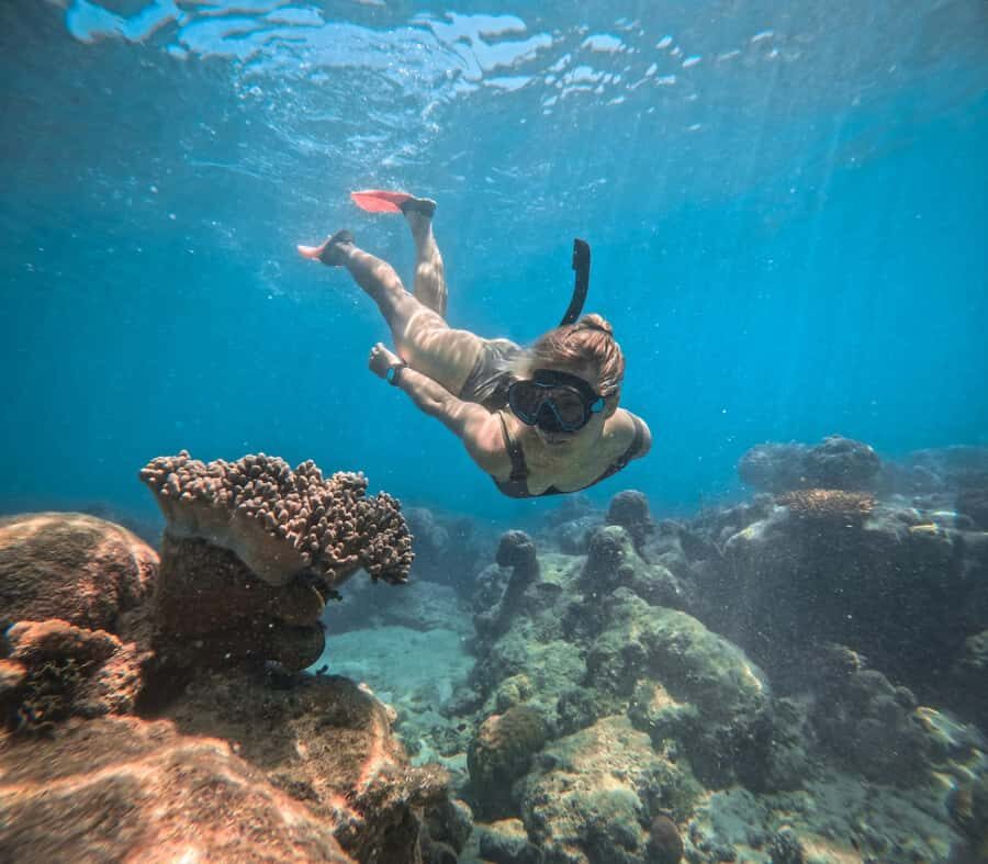 From Cairns: 2 Islands 1 day - Fitzroy & Green Islands - What to Expect: Details and Practical Tips