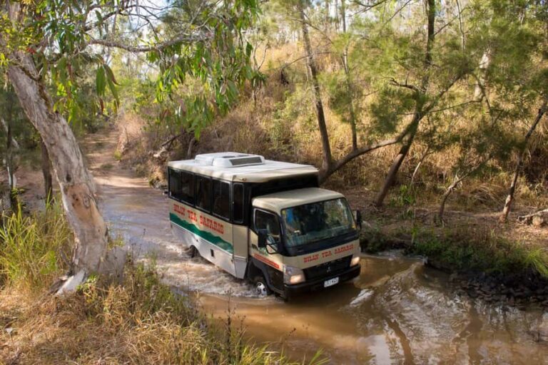 From Cairns: 3-Day Reef, Rainforest, and Outback Package - Exploring the Itinerary in Detail