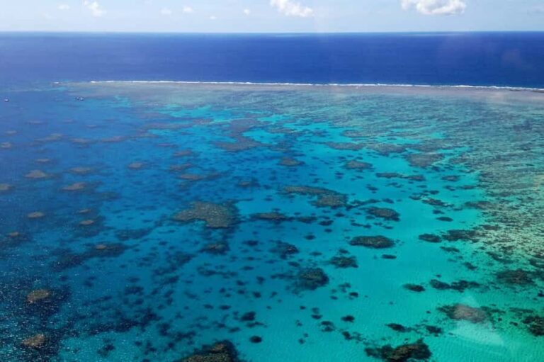 From Cairns: 40-Min Scenic Reef Window Seat Airplane Flight - Practical Details That Matter