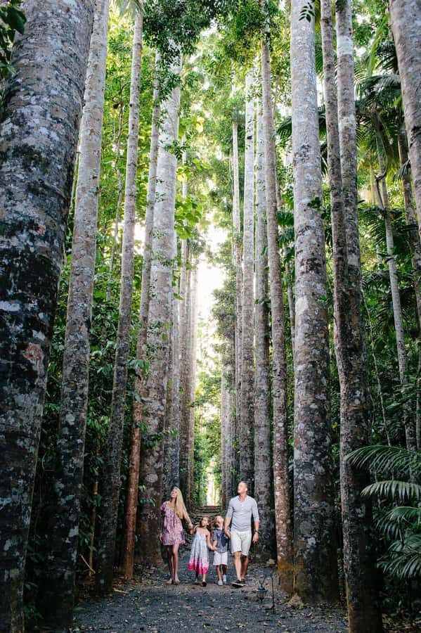 From Cairns: Atherton Tablelands and Paronella Park Day Trip - Transportation and Group Size