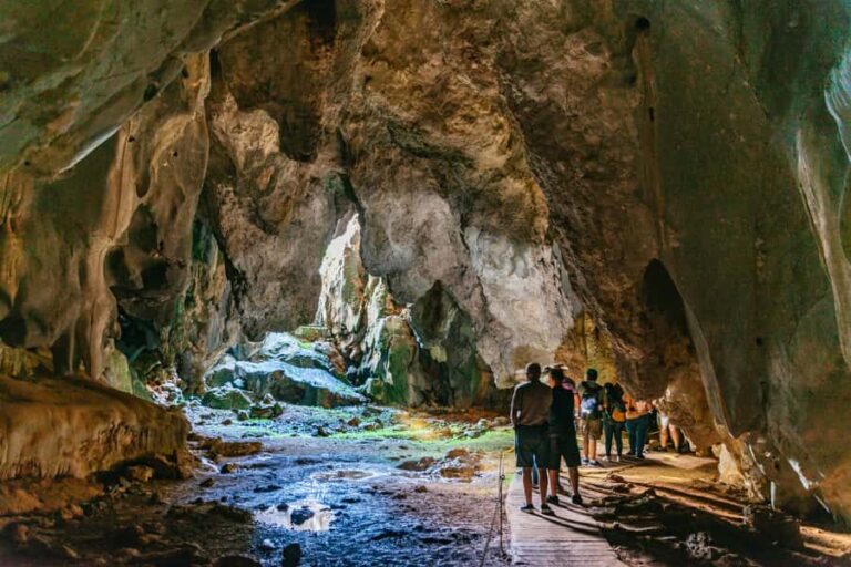 From Cairns: Chillagoe Caves and Outback Full-Day Tour - Morning Tea at Skybury Coffee Plantation