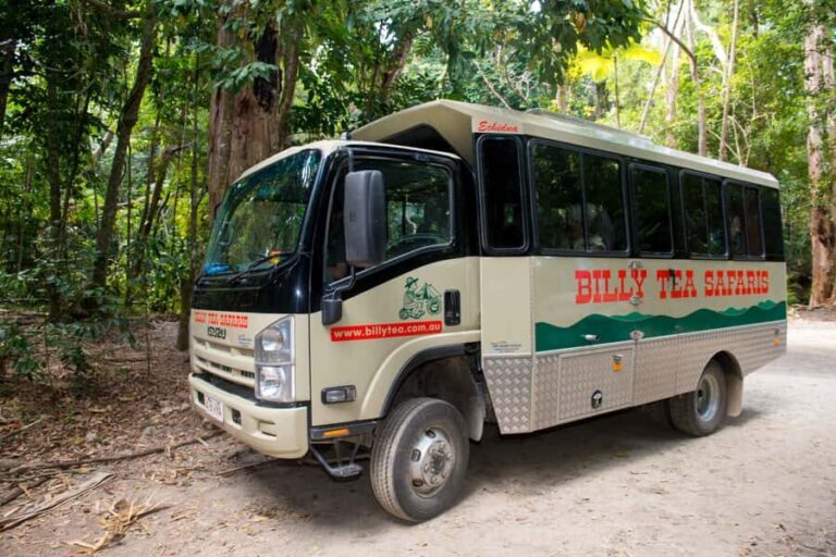 From Cairns: Daintree Rainforest & Cape Tribulation 4WD Tour - Exploring the Itinerary Step-by-Step