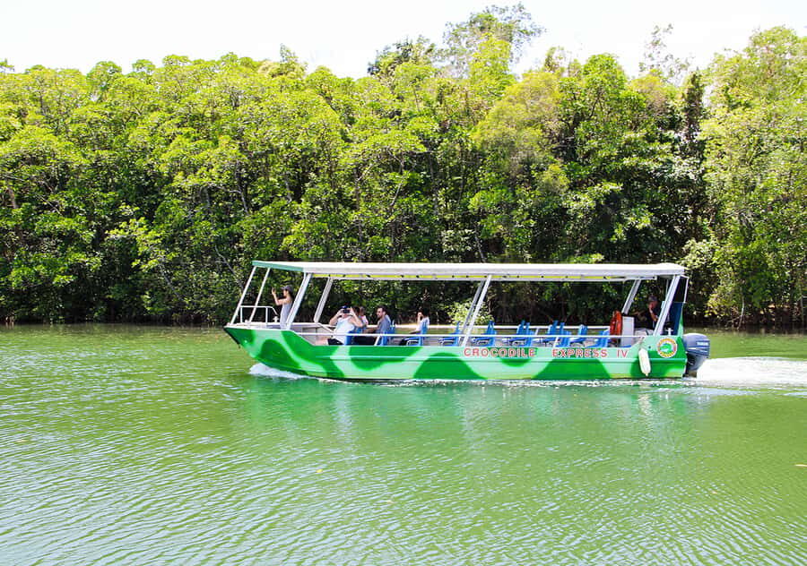 From Cairns: Daintree Wilderness & Cape Tribulation Bus Tour - Visiting the Wildlife Habitat: A Microcosm of Nature