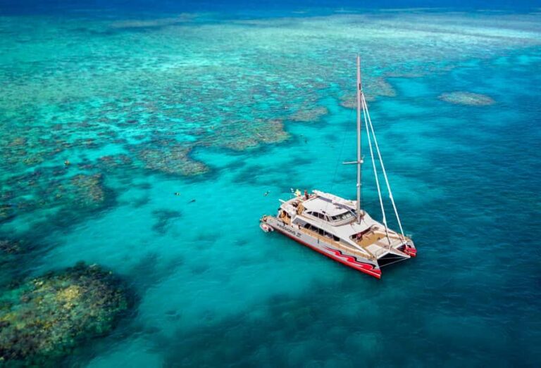 From Cairns: Great Barrier Reef Cruise by Premium Catamaran - Whats Special About This Tour?