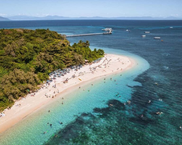 From Cairns: Green Island Half-Day Morning Cruise - The Reef and Marine Life Experience