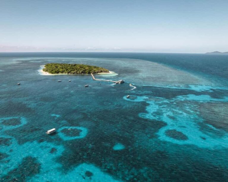 From Cairns: Half-Day Afternoon Cruise to Green Island - What’s Included and How the Day Unfolds