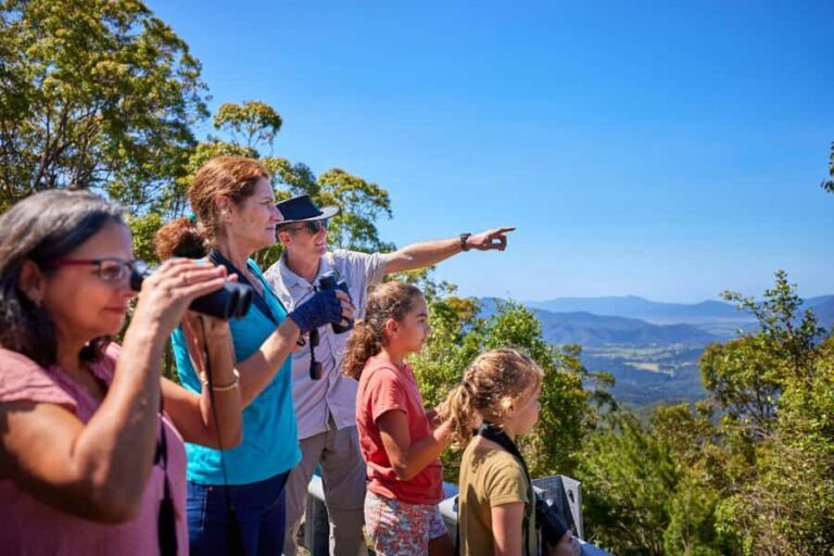 From Cairns: Rainforest & Nocturnal Wildlife Tour - The Value Proposition