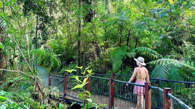 From Cairns: Waterfall Tour with Lunch - An In-Depth Look at the Waterfall Tour