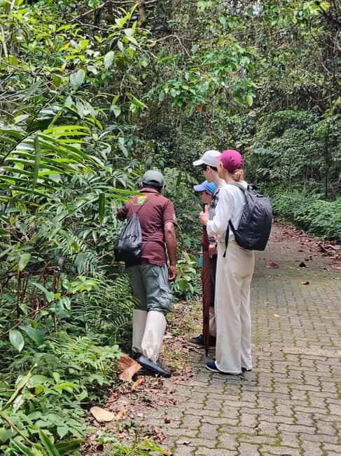 From Colombo/Kalutara: Full-Day Sinharaja Guided Eco Trek - What to Expect from the Tour