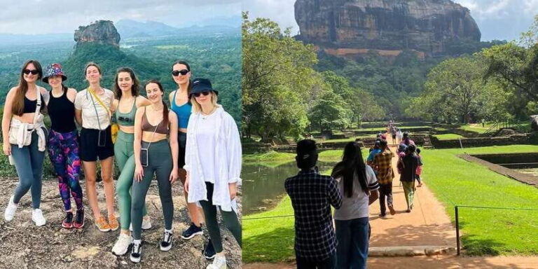 From Colombo: Sigiriya and Minneriya National Park Day Tour - The Wildlife Encounter: Minneriya National Park Safari
