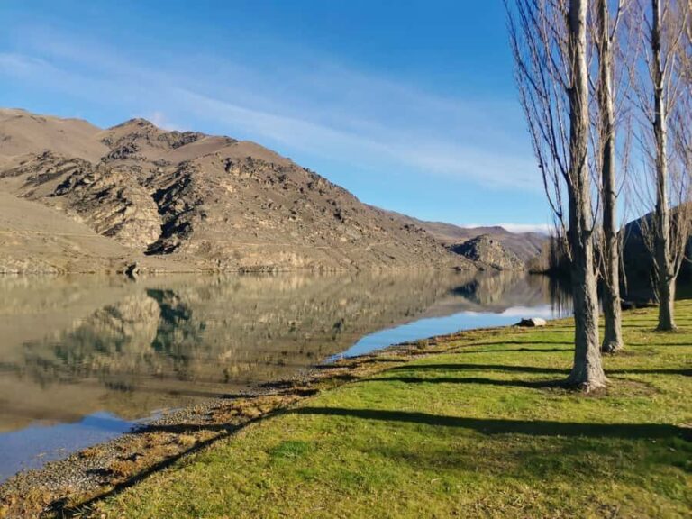 From Cromwell: Lake Dunstan Trail E-Bike Hire & Shuttle - Who Will Love This Tour?
