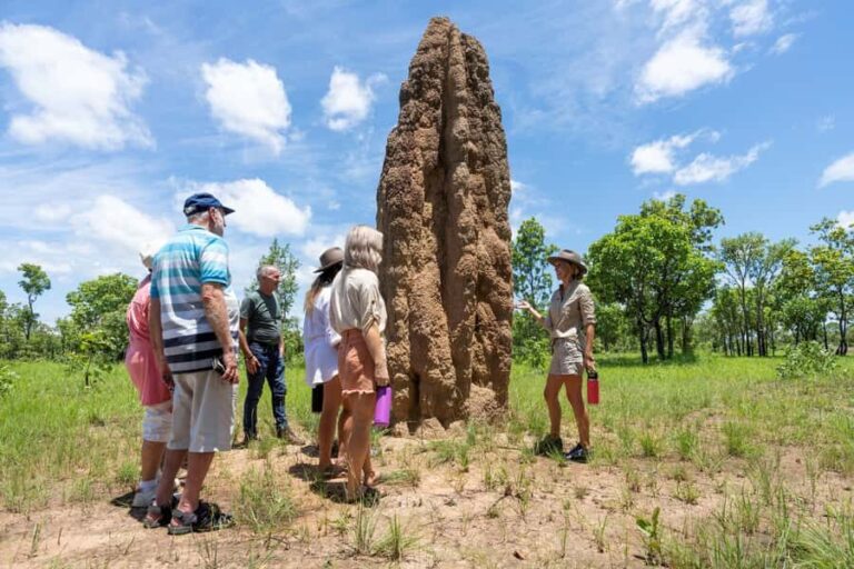From Darwin: 3-Day Kakadu and Litchfield 4WD Camping Tour - Exploring Kakadu’s Cultural and Natural Marvels