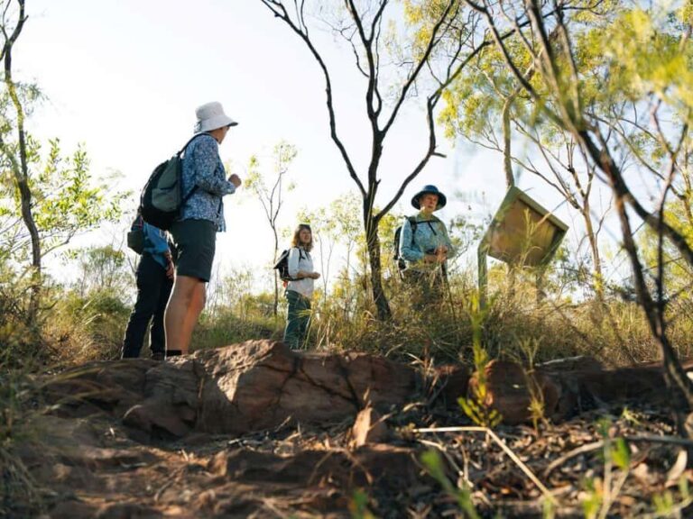 From Darwin: 4-Day Kakadu, Katherine & Litchfield Explorer - What Travelers Say About This Tour