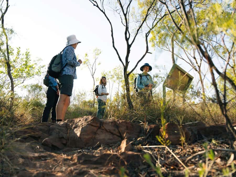 From Darwin: 4-Day Kakadu, Katherine & Litchfield Explorer - What Travelers Say About This Tour