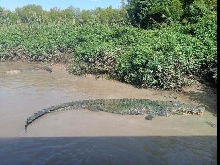 From Darwin: Kakadu 2-Day Tour - Why This Tour Offers Real Value